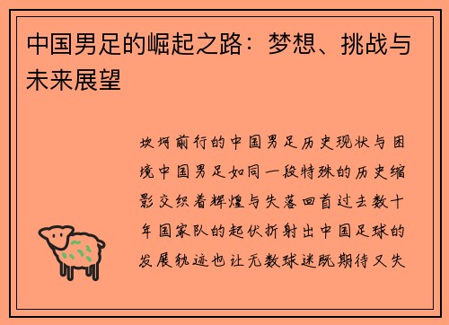 中国男足的崛起之路：梦想、挑战与未来展望