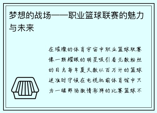梦想的战场——职业篮球联赛的魅力与未来